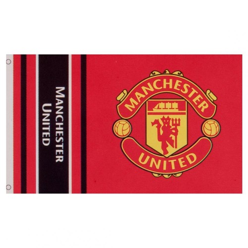 Manchester united wordmark - united,