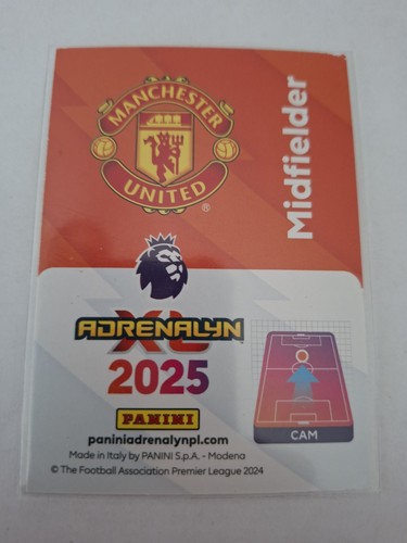 Panini adrenalyn 2025 - adrenalyn, xl