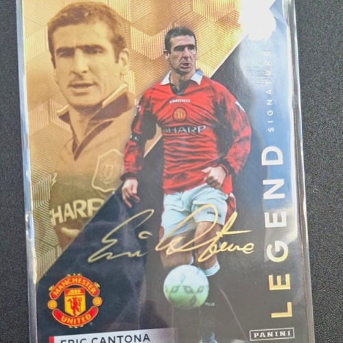 Panini adrenalyn premier - panini,