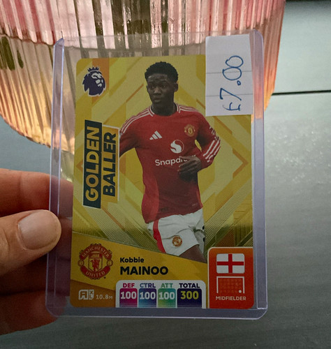 Panini adrenalyn premier - panini, xl