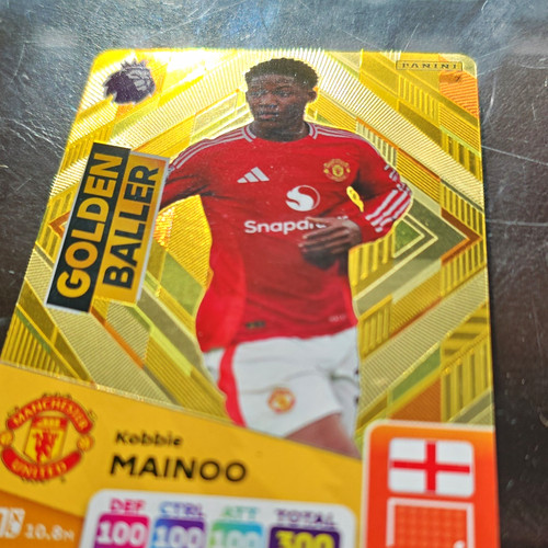 Panini adrenalyn premier - adrenalyn, xl