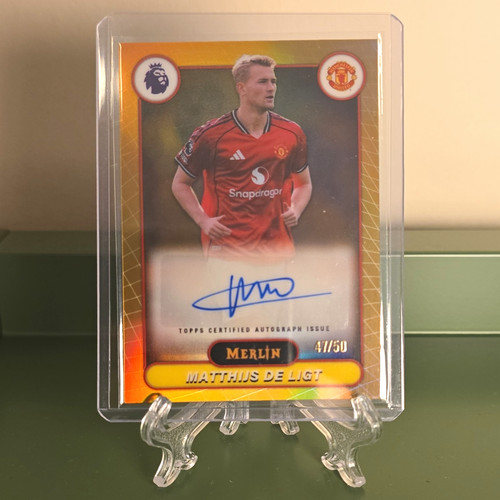Topps merlin premier league - premier,